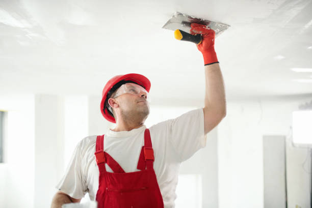 Kulpsville, PA Mold Removal Company